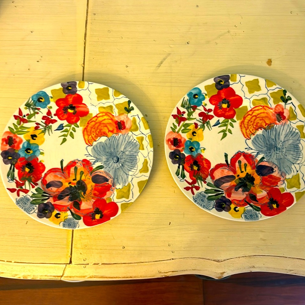 Set of two Anthropologie plates